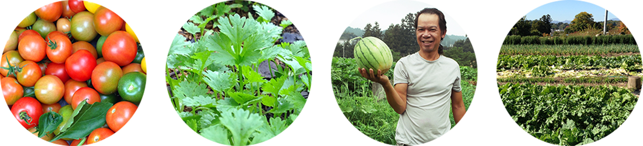 プエン無農薬農園